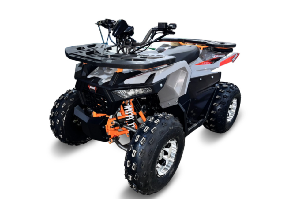 Квадроцикл GBM DAXTER 220 NEW PREMIUM в Москве