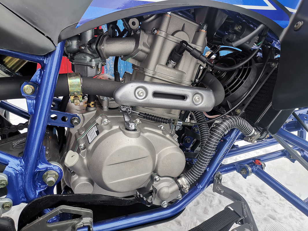 Квадроцикл PROMAX RAPTOR 300 NEW RedBull в Москве