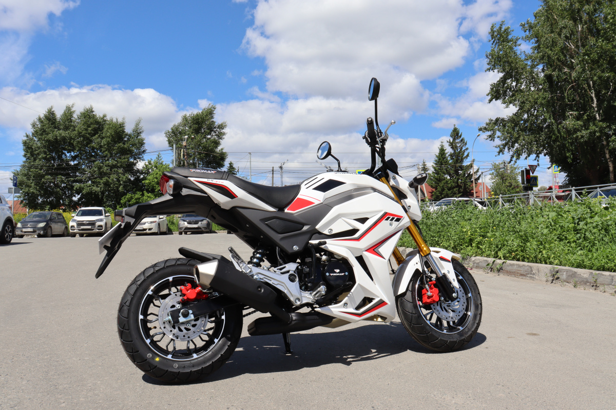 Мотоцикл PROMAX STRYKER 200(49) 2.0 в Москве