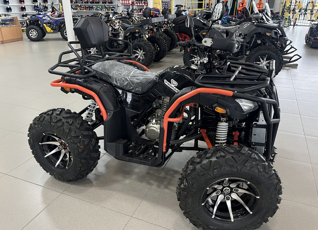 Квадроцикл PROMAX 300 4X4 ALL ROAD в Москве