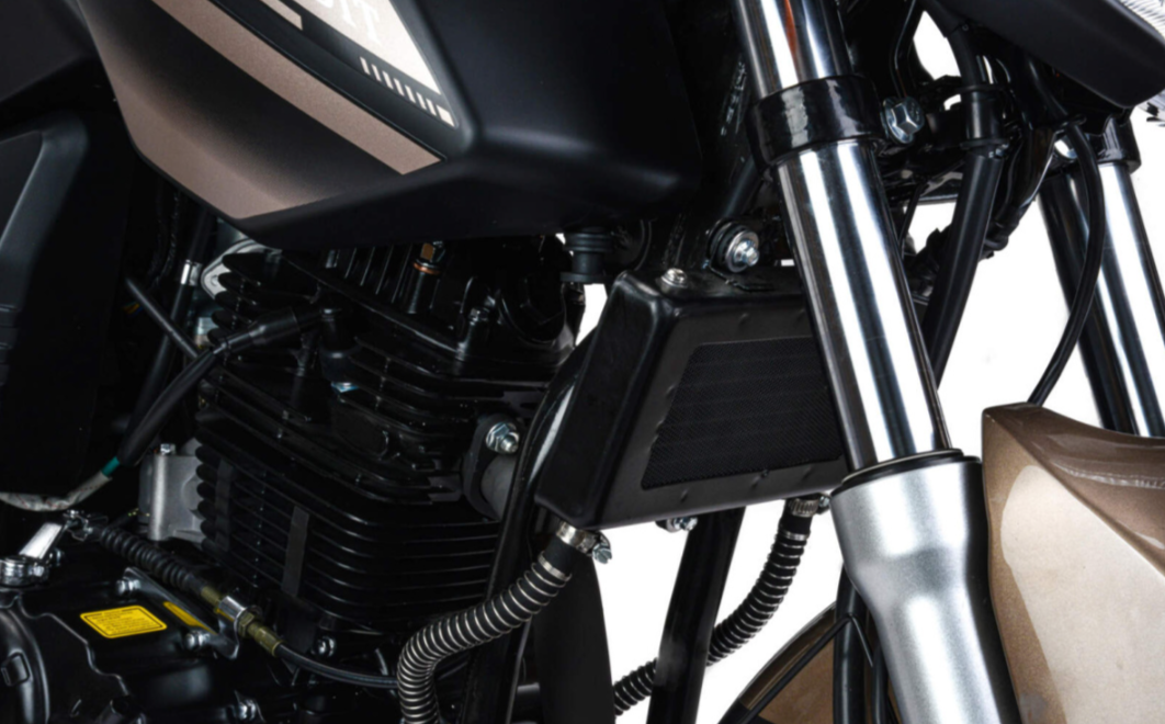 Мотоцикл MOTOLAND (МОТОЛЕНД) 300 BANDIT в Москве