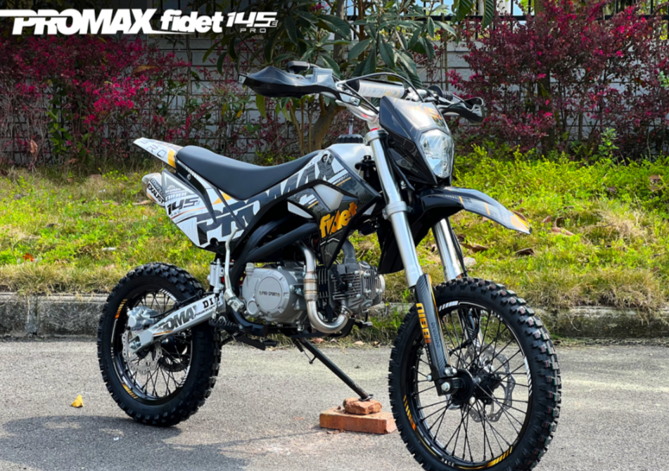 Мотоцикл (питбайк) PROMAX FIDET (ФАЙДЕТ) 145E PRO 17/14 в Москве