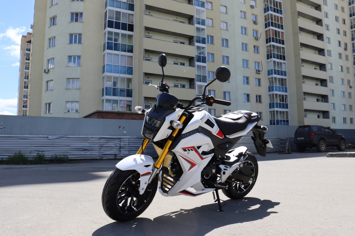 Мотоцикл PROMAX STRYKER 200(49) 2.0 в Москве