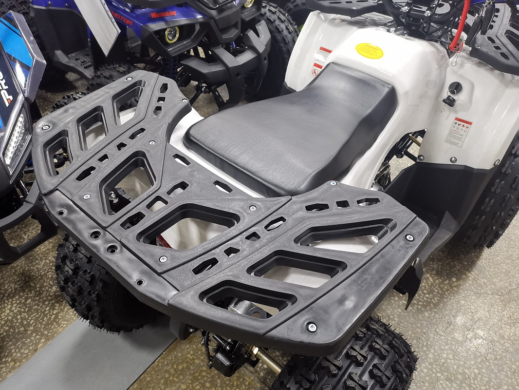 Квадроцикл PROMAX WILD 175 LUX в Москве