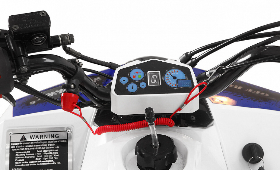 Квадроцикл Yacota Raposa 130 PRO-SPORT в Москве