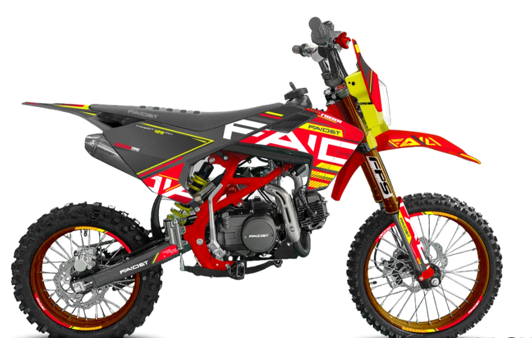 Питбайк FAIDET KAYOT 150E-PRO 17/14 в Москве