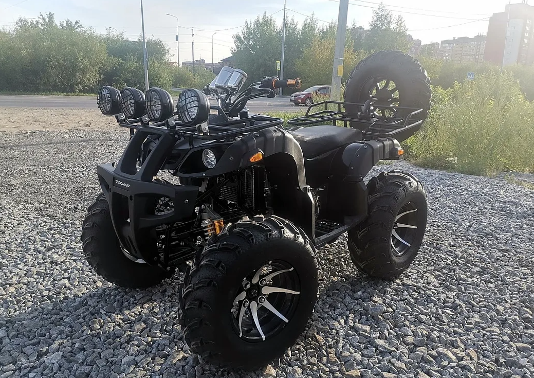 Квадроцикл PROMAX LEO 300 Max (кардан) в Москве