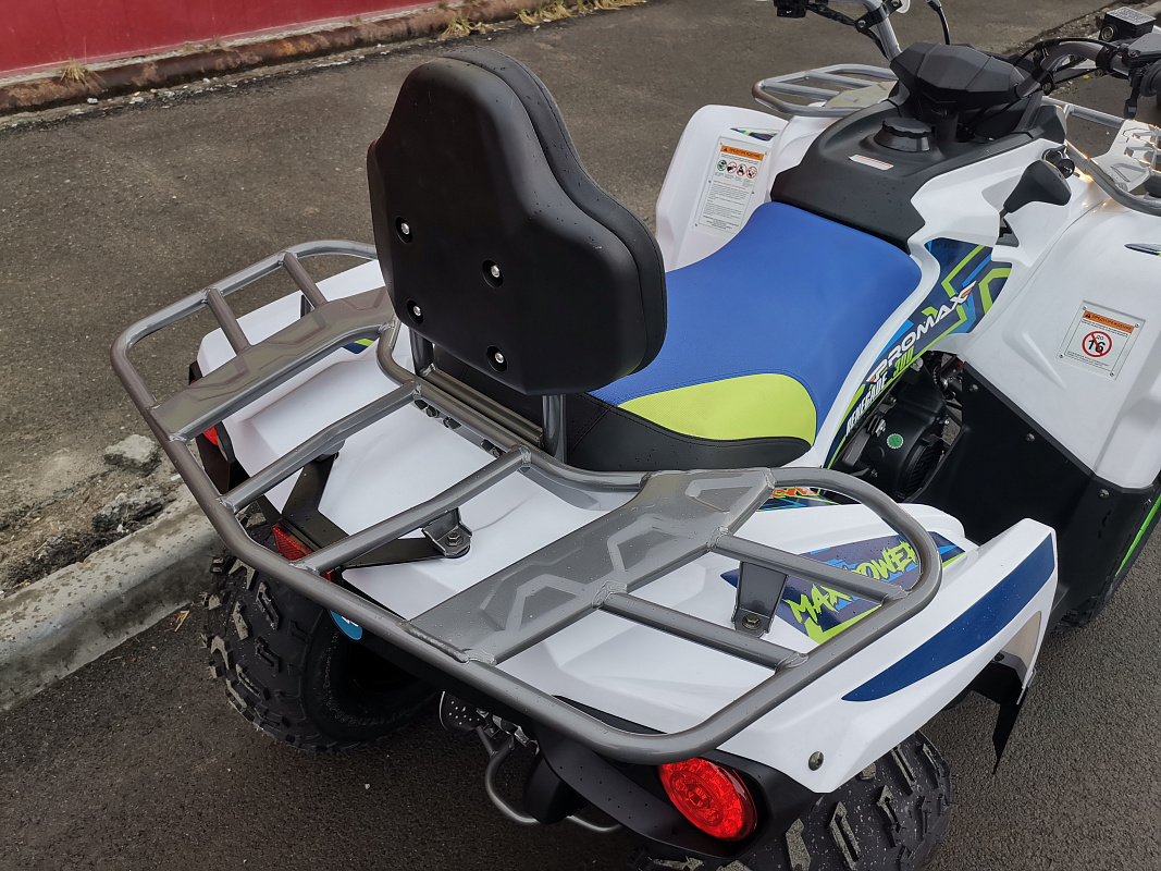 Квадроцикл PROMAX RENEGADE 280 LUX (2025) в Москве