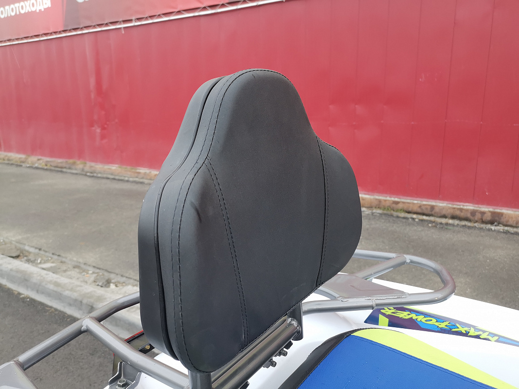 Квадроцикл PROMAX RENEGADE 280 LUX (2025) в Москве