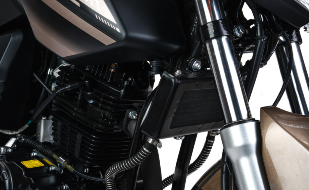 Мотоцикл MOTOLAND (МОТОЛЕНД) 300 BANDIT в Москве