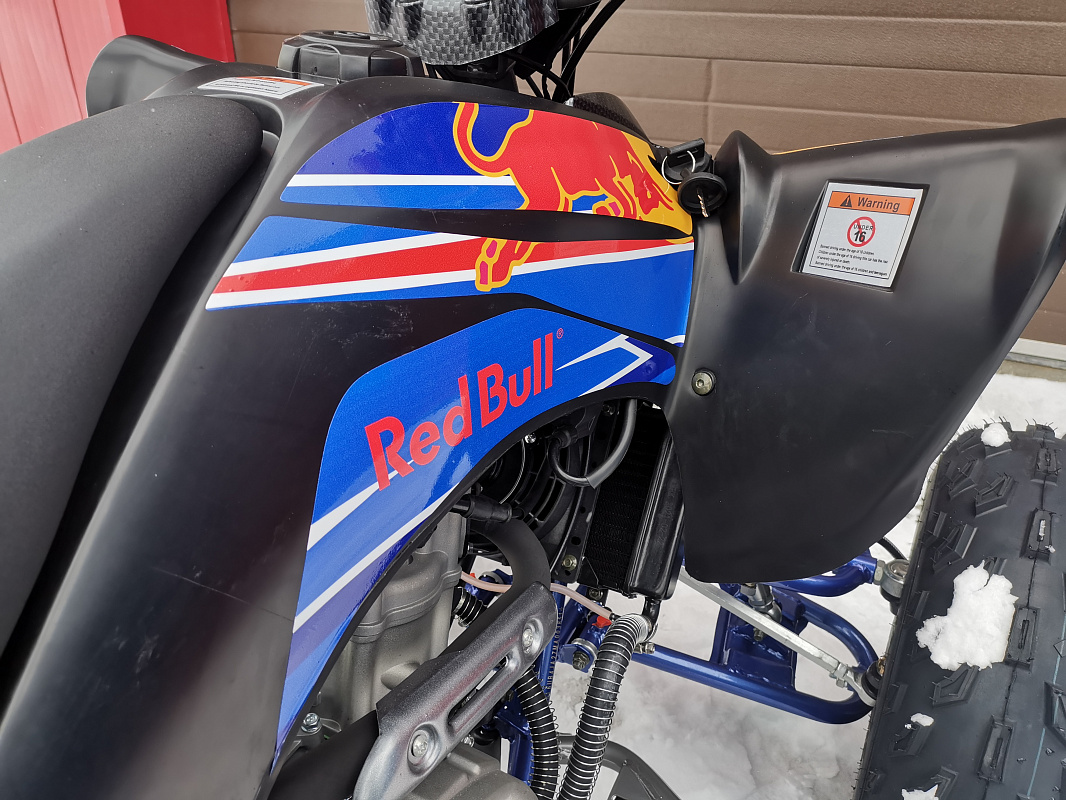 Квадроцикл PROMAX RAPTOR 300 NEW RedBull в Москве