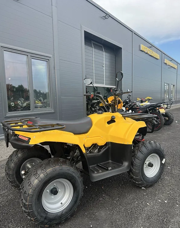 КВАДРОЦИКЛ IRBIS ATV 250  в Москве