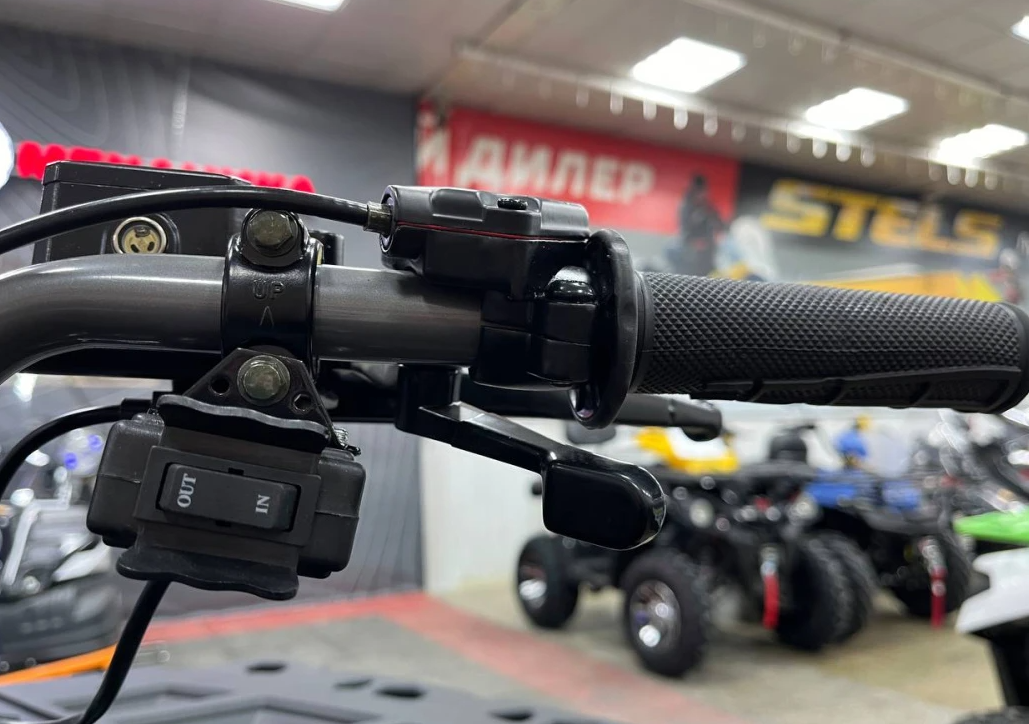 Квадроцикл PROMAX RENEGADE 300 LONG WINCH PRO (2025) в Москве