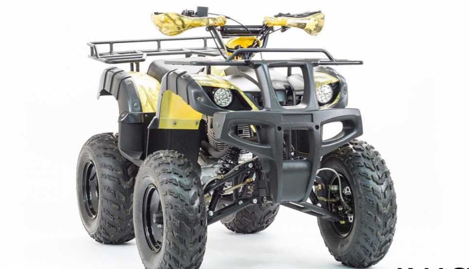 Квадроцикл MOTOLAND (МОТОЛЕНД) 250 ADVENTURE в Москве