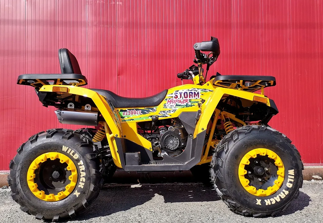 Квадроцикл PROMAX STORM 280 LUX в Москве