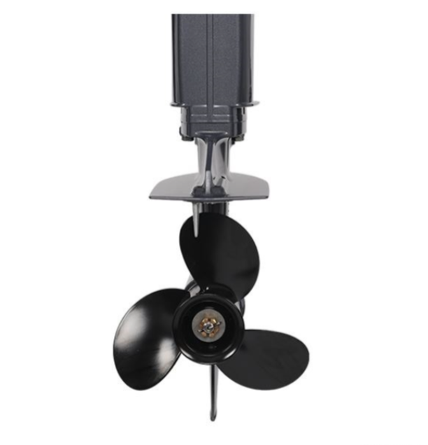 Лодочный мотор ALLFA CG Т40FW S в Москве