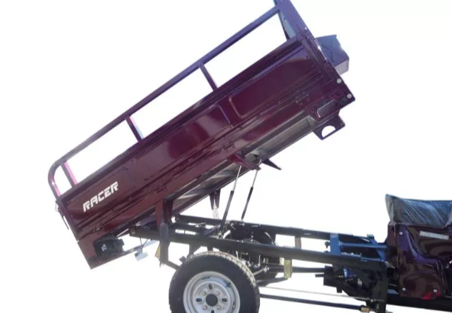 Трицикл RACER RC200ZH MURAVEI в Москве