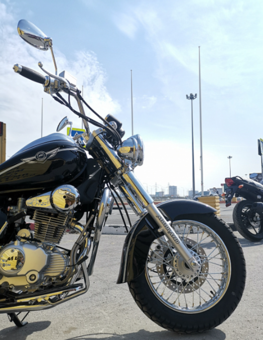 Мотоцикл MOTOLAND (МОТОЛЕНД) WOLF 250 в Москве