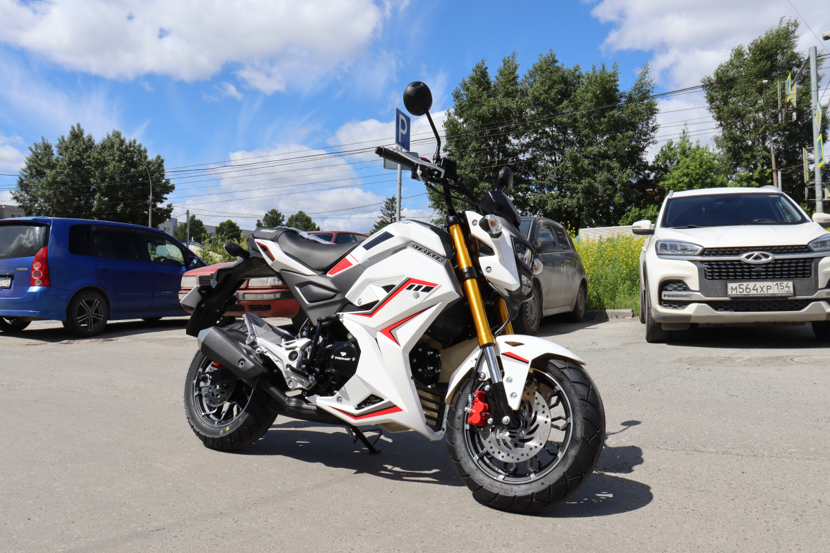 Мотоцикл PROMAX STRYKER 200(49) 2.0 в Москве