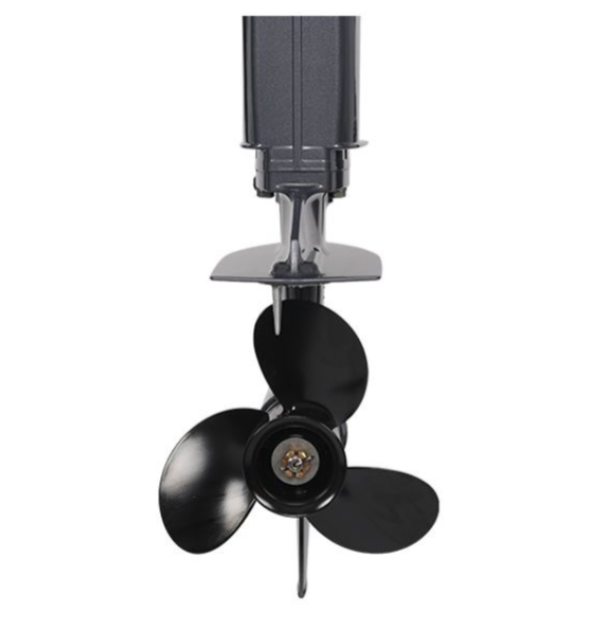 Лодочный мотор ALLFA CG Т40FWT S в Москве