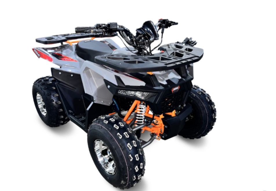 Квадроцикл GBM DAXTER 220 NEW PREMIUM в Москве