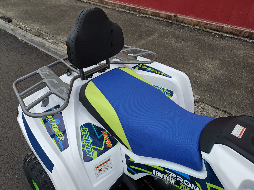 Квадроцикл PROMAX RENEGADE 280 LUX (2025) в Москве
