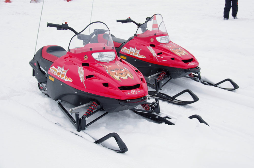 Снегоход РМ ТАЙГА РЫСЬ в Москве Снегоход РМ ТАЙГА РЫСЬ в Москве