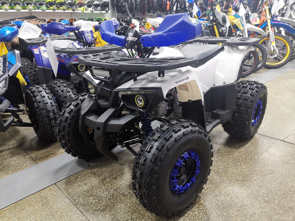 Квадроцикл PROMAX WILD 175 LUX в Москве