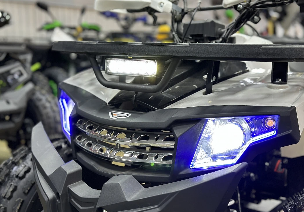 Квадроцикл PROMAX WILD 2.0 190 в Москве