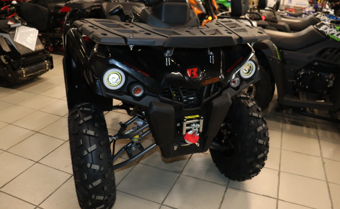 Квадроцикл PROMAX RENEGADE 300 LONG WINCH PRO (2025) в Москве