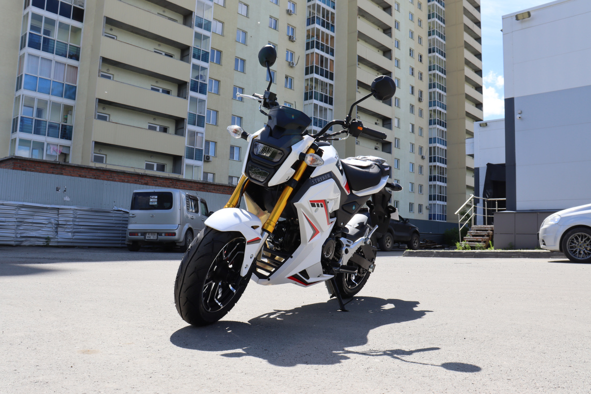 Мотоцикл PROMAX STRYKER 200(49) 2.0 в Москве