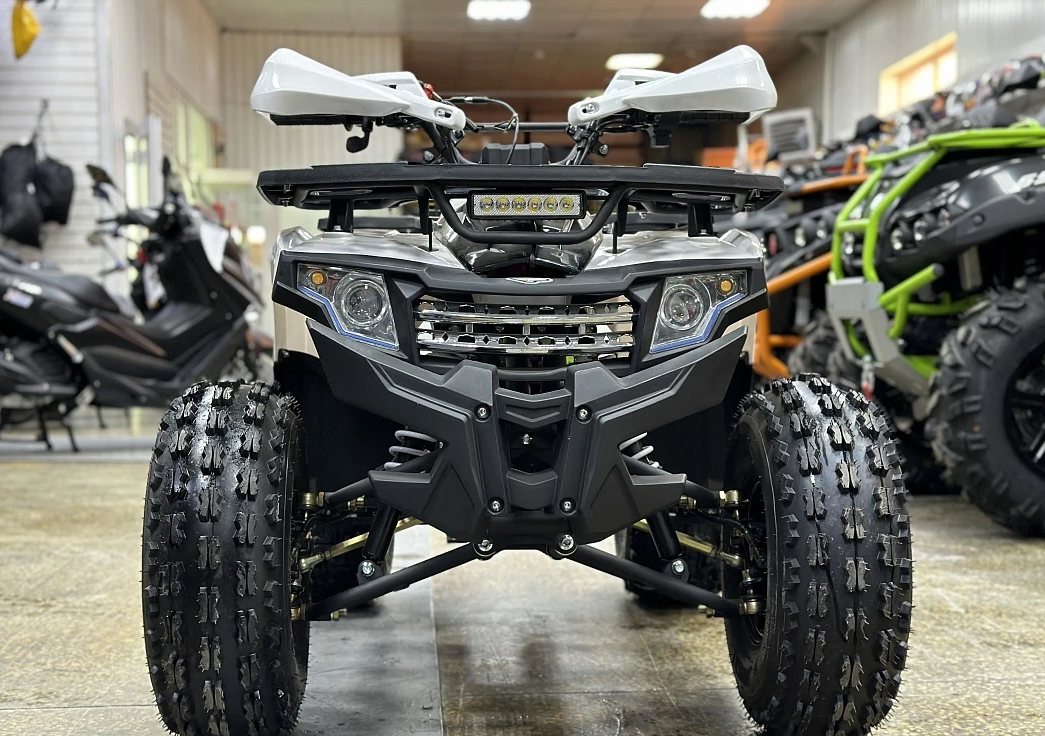 Квадроцикл PROMAX WILD 2.0 190 в Москве
