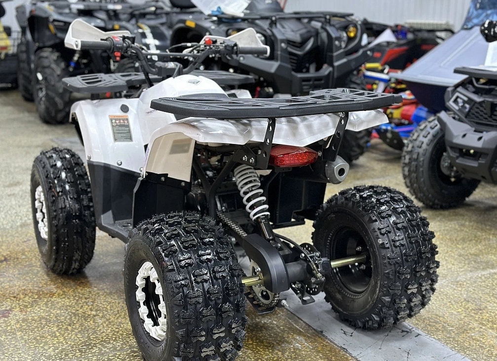 Квадроцикл PROMAX WILD 2.0 190 в Москве