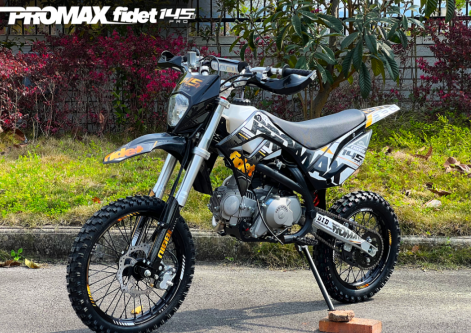 Мотоцикл (питбайк) PROMAX FIDET (ФАЙДЕТ) 145E PRO 17/14 в Москве