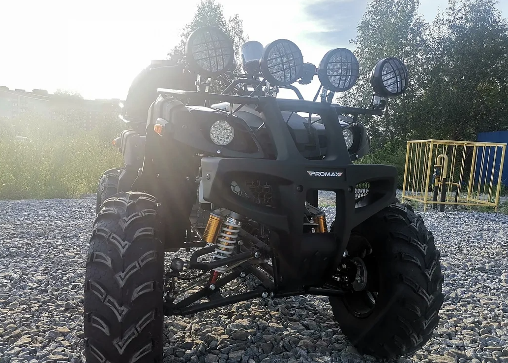 Квадроцикл PROMAX LEO 300 Max (кардан) в Москве