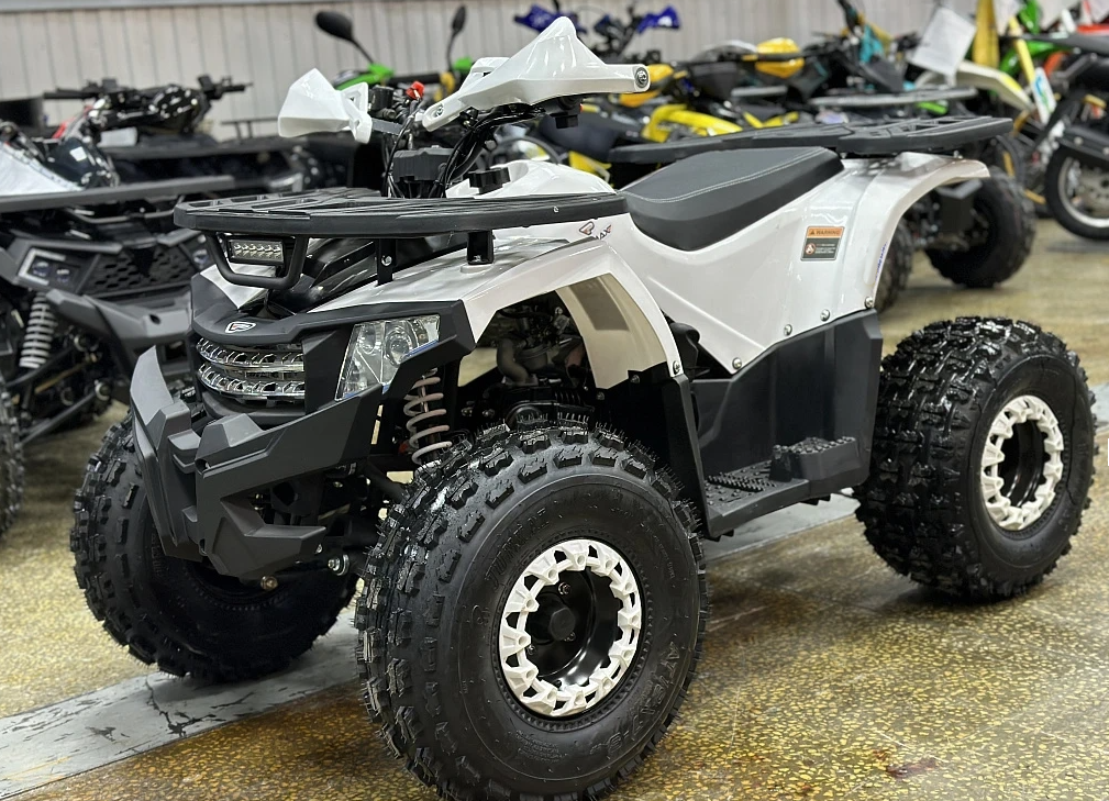Квадроцикл PROMAX WILD 2.0 190 в Москве
