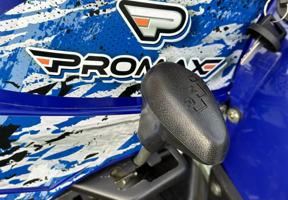  Квадроцикл PROMAX ATV 250 MAX (2025) в Москве
