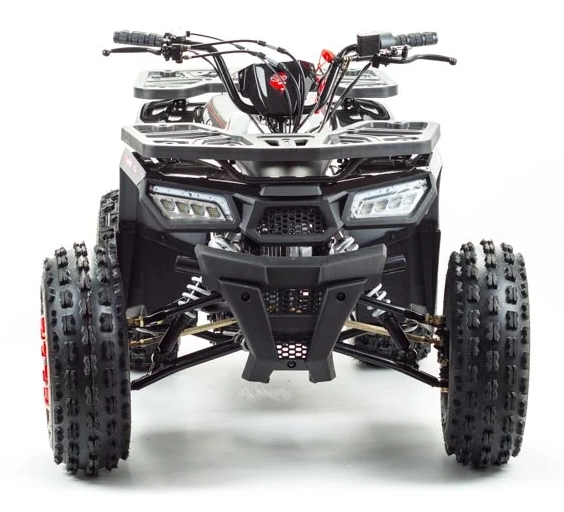 Квадроцикл PROMAX WILD 175 в Москве