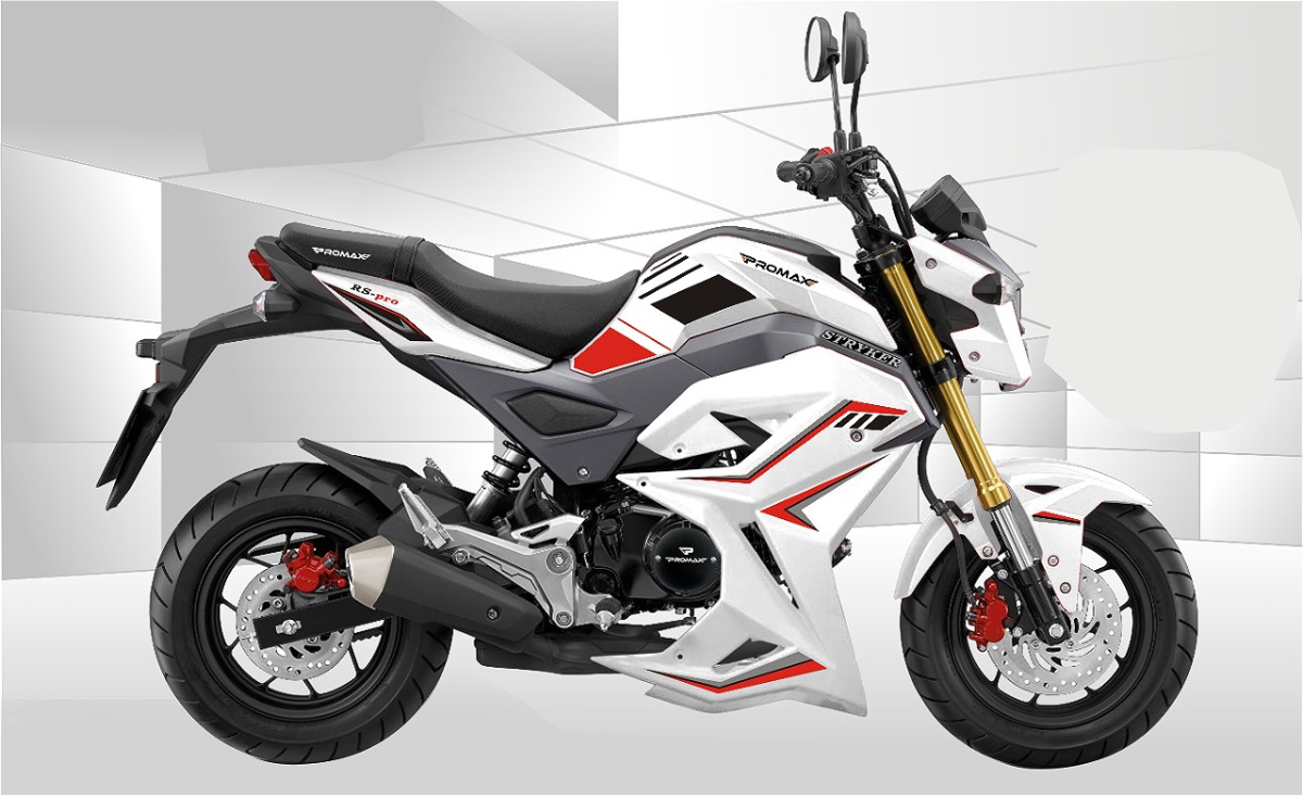 Мотоцикл PROMAX STRYKER 200(49) 2.0 в Москве