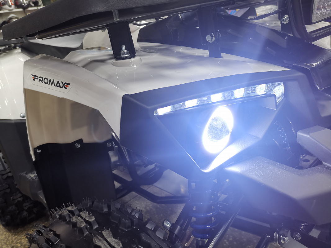 Квадроцикл PROMAX WILD 175 LUX в Москве