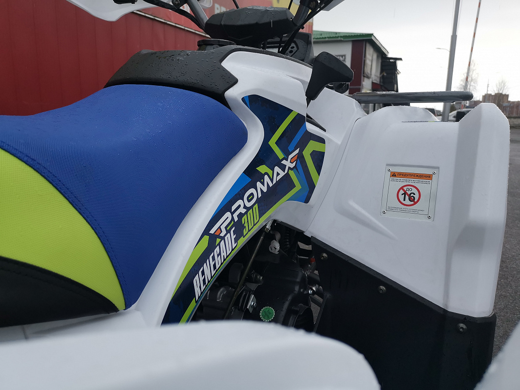 Квадроцикл PROMAX RENEGADE 280 LUX (2025) в Москве