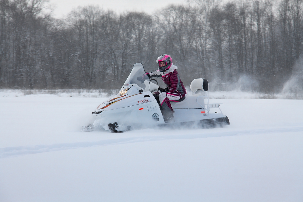 СНЕГОХОД РМ ТАЙГА ПАТРУЛЬ 551 SWT в Москве