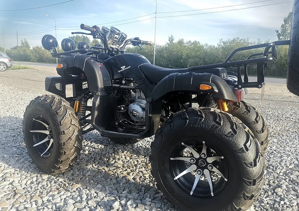 Квадроцикл PROMAX LEO 300 Max (кардан) в Москве