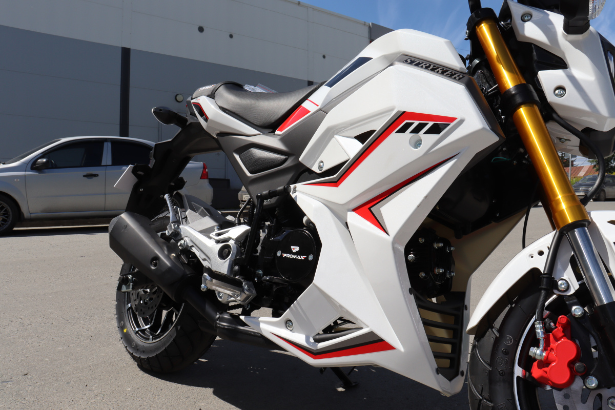 Мотоцикл PROMAX STRYKER 200(49) 2.0 в Москве