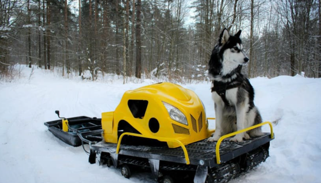 Мотобуксировщик LEBEDEV MOTORS ВОЛКОДАВ POWER V13 в Москве