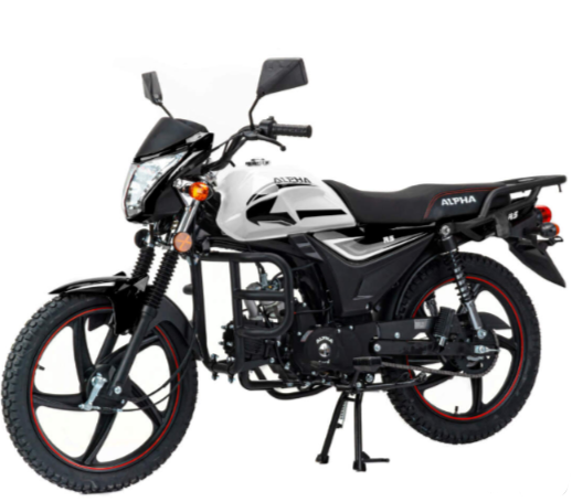 Мопед MOTOLAND (МОТОЛЕНД) Альфа RS 11 (LM48-B) в Москве