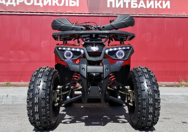 Квадроцикл PROMAX WILD 175 BASIC в Москве