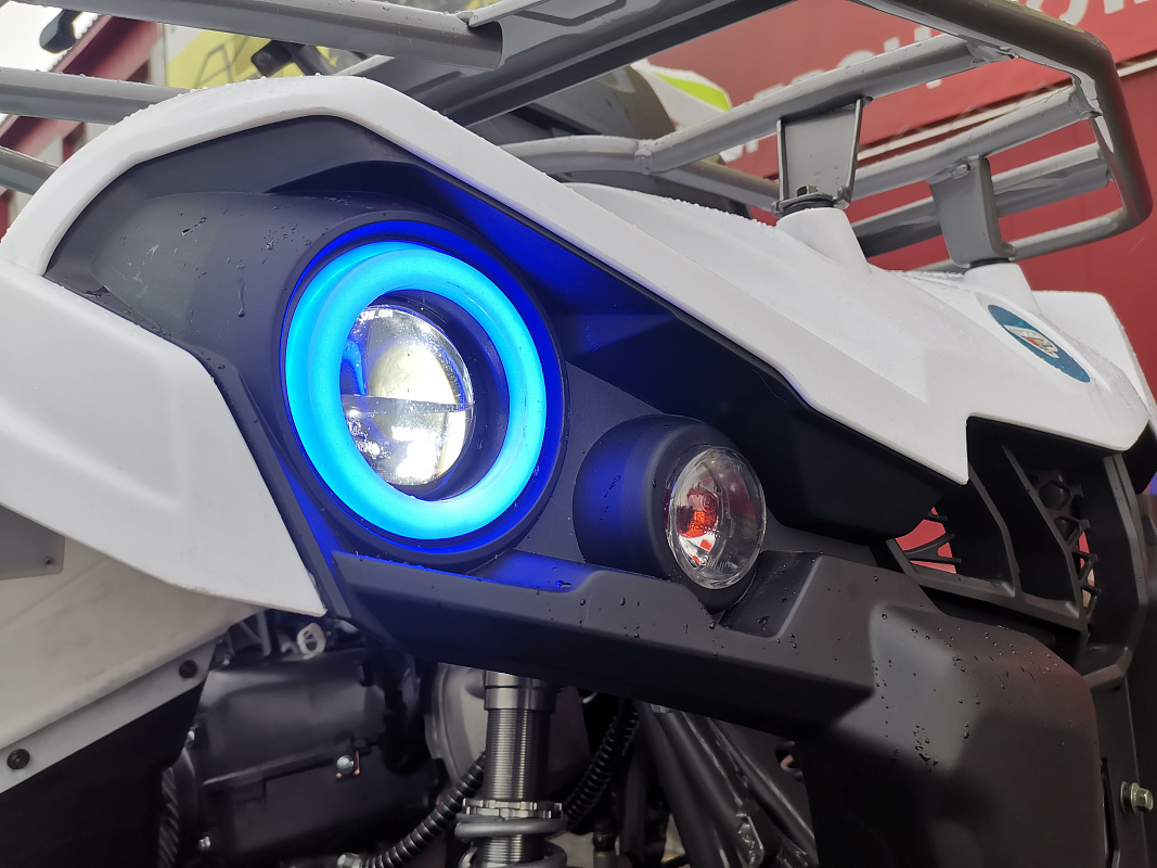 Квадроцикл PROMAX RENEGADE 280 LUX (2025) в Москве