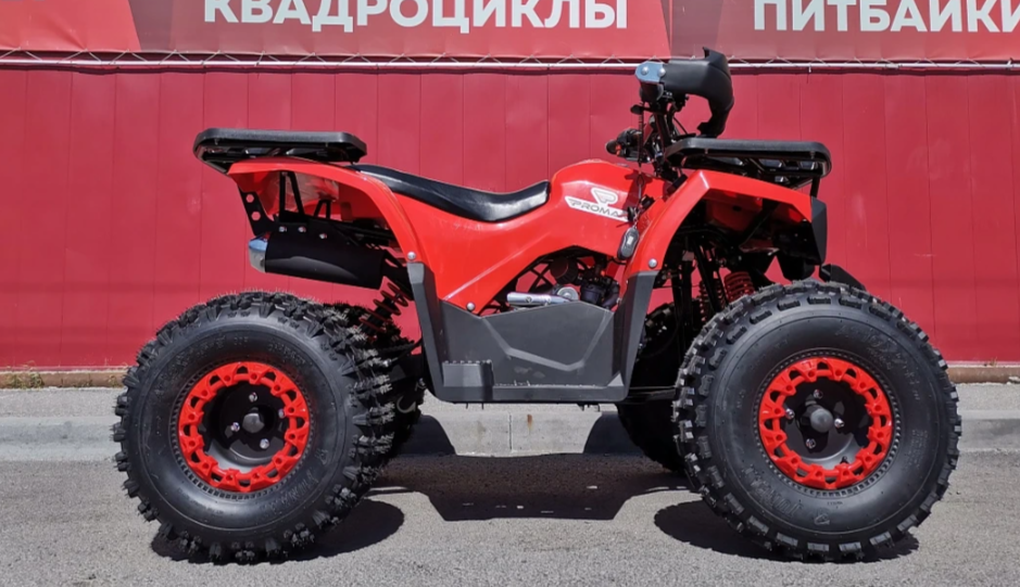 Квадроцикл PROMAX WILD 175 BASIC в Москве