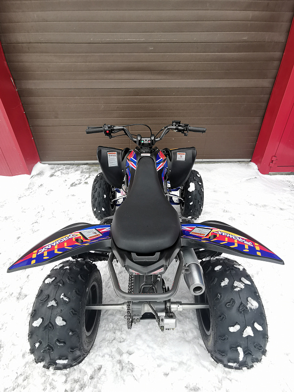 Квадроцикл PROMAX RAPTOR 300 NEW RedBull в Москве